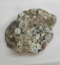 Korallenjaspis